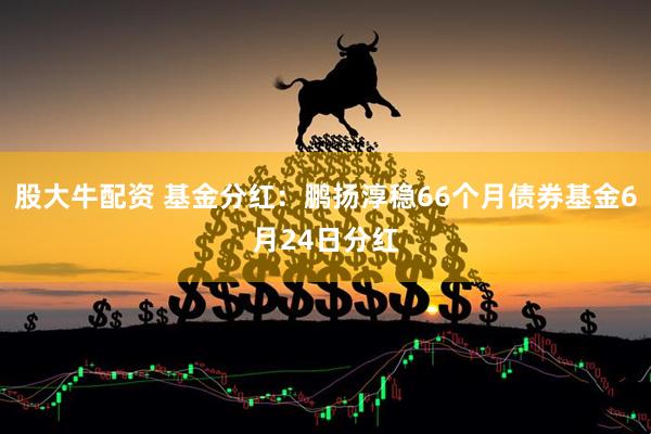 股大牛配资 基金分红：鹏扬淳稳66个月债券基金6月24日分红