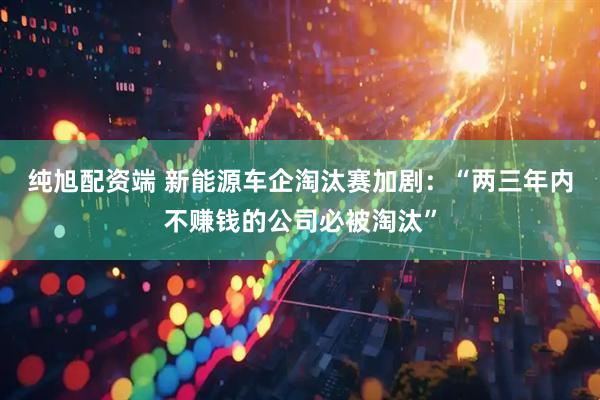 纯旭配资端 新能源车企淘汰赛加剧：“两三年内不赚钱的公司必被淘汰”