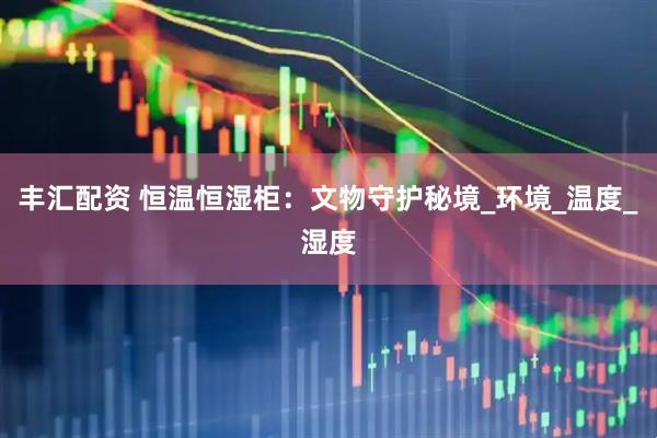 丰汇配资 恒温恒湿柜：文物守护秘境_环境_温度_湿度
