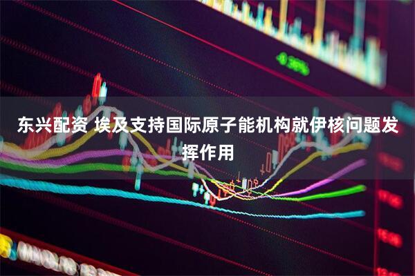 东兴配资 埃及支持国际原子能机构就伊核问题发挥作用