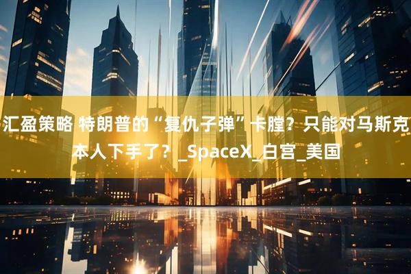 汇盈策略 特朗普的“复仇子弹”卡膛？只能对马斯克本人下手了？_SpaceX_白宫_美国