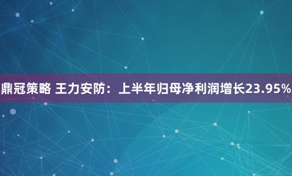 鼎冠策略 王力安防：上半年归母净利润增长23.95%
