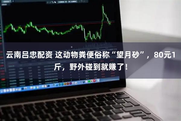 云南吕忠配资 这动物粪便俗称“望月砂”，80元1斤，野外碰到就赚了！