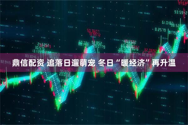 鼎信配资 追落日遛萌宠 冬日“暖经济”再升温