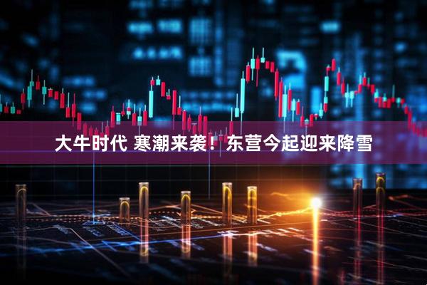 大牛时代 寒潮来袭！东营今起迎来降雪