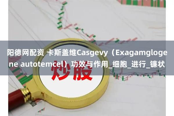 阳德网配资 卡斯盖维Casgevy（Exagamglogene autotemcel）功效与作用_细胞_进行_镰状